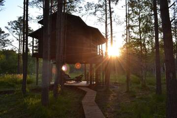 Фото номера Домик на дереве Лоджи Sambliku Treehouse г. Jõgisoo 27