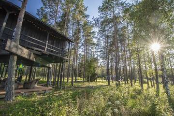 Фото номера Домик на дереве Лоджи Sambliku Treehouse г. Jõgisoo 25
