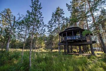 Фото номера Домик на дереве Лоджи Sambliku Treehouse г. Jõgisoo 29