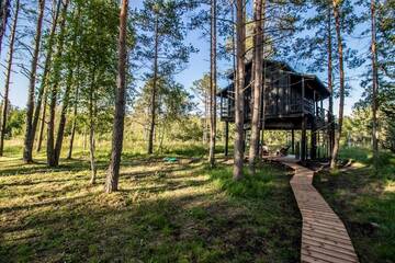 Фото номера Домик на дереве Лоджи Sambliku Treehouse г. Jõgisoo 38