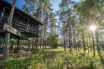 Фото номера Домик на дереве Лоджи Sambliku Treehouse г. Jõgisoo 39