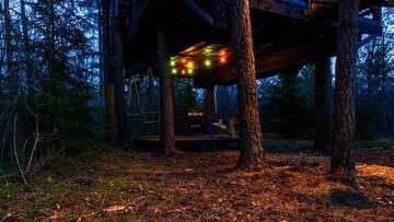 Фото номера Дом на дереве «Лес» Лоджи Sambliku Treehouse г. Jõgisoo 5