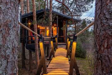 Фотографии Лоджи Sambliku Treehouse г. Jõgisoo (Эстония) №2 Фото Лоджи Sambliku Treehouse г. Jõgisoo 2