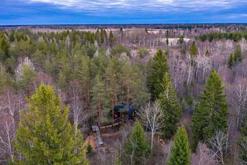 Фото номера Дом на дереве «Лес» Лоджи Sambliku Treehouse г. Jõgisoo 7
