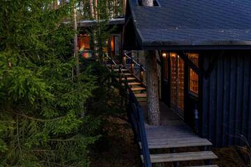 Фотографии Лоджи Sambliku Treehouse г. Jõgisoo (Эстония) №3 Фото Лоджи Sambliku Treehouse г. Jõgisoo 3